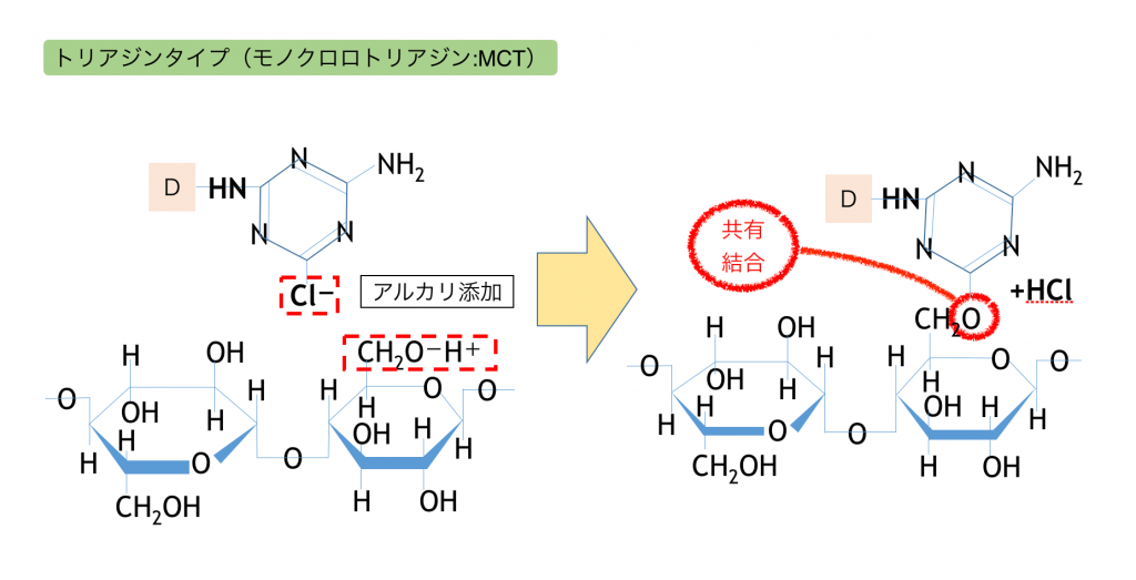 セルロースの反応染料による染色モデルの図