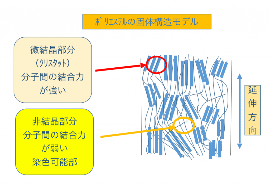 ポリエステルの個体構造モデルの図