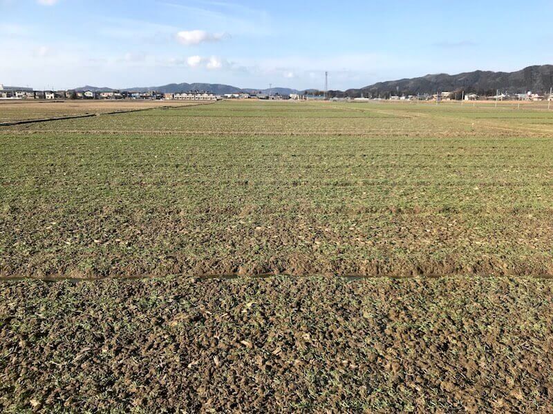 本社工場裏の雪が溶けました！もう春ですね！